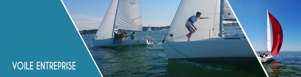 voile decouverte entreprise