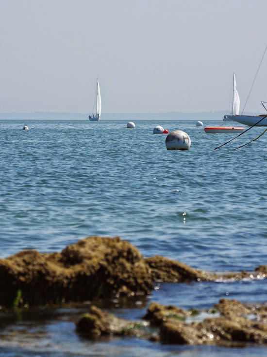 Balade Gourmande 2.JPG