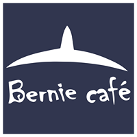 logo bernie